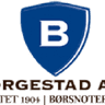 Borgestad ASA