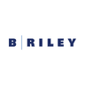 B. Riley Principal 250 Merger Corp.