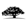 WisdomTree U.S. High Dividend Fund