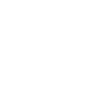 The Lion Electric Company