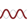 Molecular Templates, Inc.