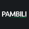 Pambili Natural Resources Corporation