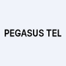 Pegasus Tel, Inc.